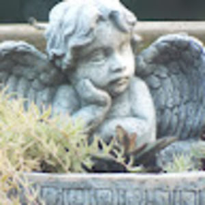 Meet your Posher, Elijah